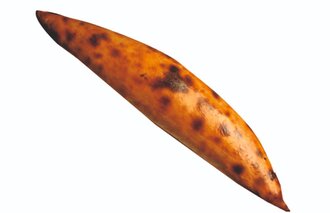 Kaşarlı Pide (Kapalı) görseli