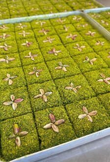 Fıstık Bahçesi (500 Gr) görseli