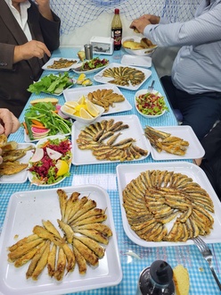 Mezgit Tava (1 Kg.) görseli
