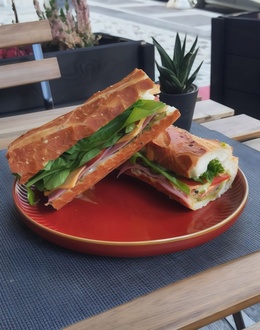 Dana Jambonlu Santo görseli