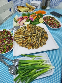 İatavrit Tava [1Kg] görseli