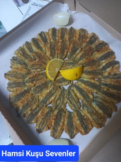Hamsi Tava Kılçıksız [1Kg] görseli