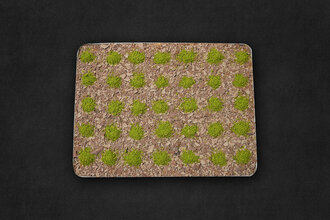 Fıstıklı Soğuk Baklava (1 Kg.) görseli