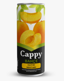 Cappy Kayısı görseli