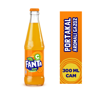 Fanta (300 Ml.) görseli