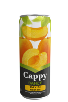 Cappy Kayısı (33 Cı.) görseli