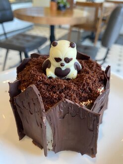 Panda görseli
