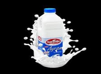 Sakıpağa Ayran (1 L.) görseli
