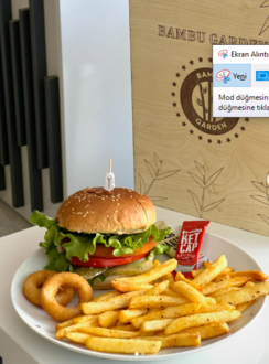 Tavuk Burger görseli