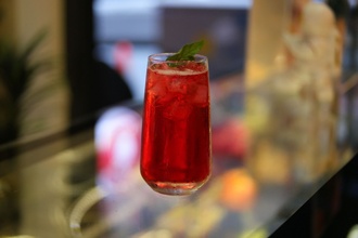 Sunberry Berry Hibiscus görseli