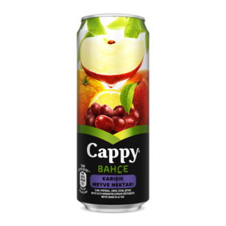 Cappy Karışık (33 Cl.) görseli