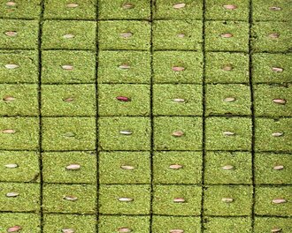 Fıstık Bahçesi (1 Kg.) görseli