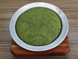 Cennet Çamuru (4 Kişilik) görseli