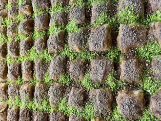 Soğuk Baklava 500G görseli