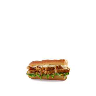 Efsane Teriyaki (15 Cm.) görseli