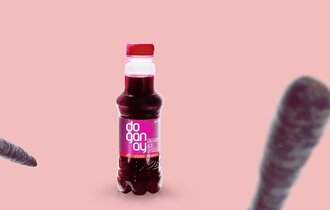 Şalgam Suyu(300ml) görseli