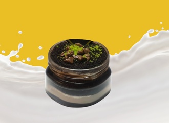 Çikolatalı Mag görseli