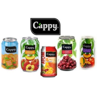 Cappy Şeftali 33 Cl. görseli