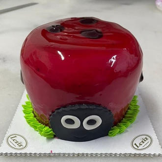 Uğur Böceği Pasta (4 Kişilik) görseli