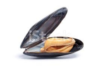 Midye Dolma (Adet) görseli
