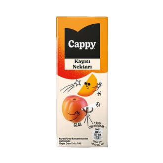 Cappy Kayısı Nektarı Karton Kutu 200 Ml görseli
