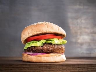 Hamburger (100 G) görseli