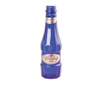 Uludağ Premium Sade Soda (250 Ml.) görseli