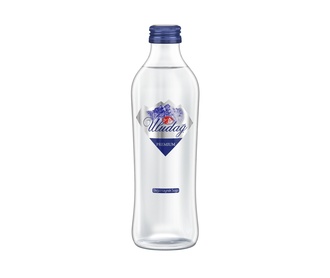 Uludağ Premium Su (330 Ml.) görseli