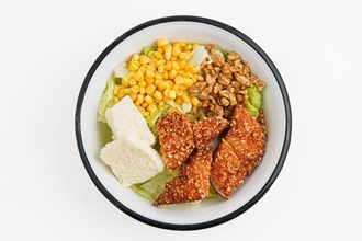 Çıtır Tavuk Salata görseli