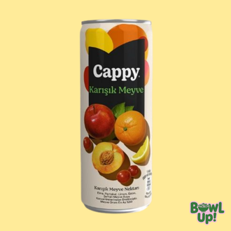 Cappy Karışık (33 Cl.) görseli