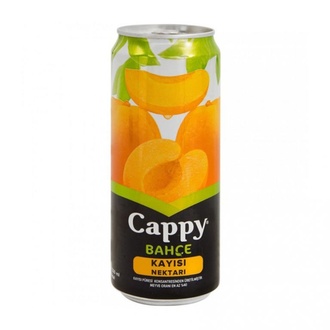 Cappy Kayısı (250 Ml) görseli