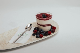 Orman Meyveli Magnolya görseli