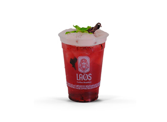 Berry Hibiscus (14 Oz) görseli