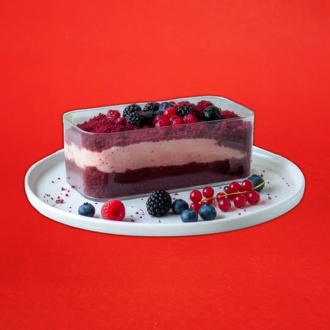 Orman Meyveli Magnolia görseli