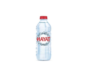 Hayat Şişe Su (33 Cl.) görseli