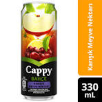 Cappy Karışık (200 Ml) görseli