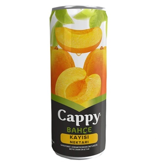 Cappy Kayısı (200 Ml) görseli