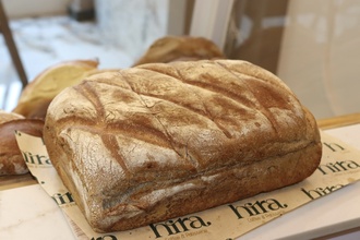 Kara Kılçık görseli