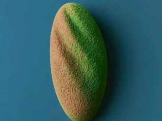 Pistachio Mousse görseli