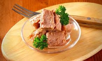 Ton Balığı görseli