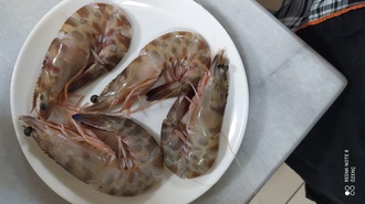 6 Adet Jumbo Karides Izgara görseli