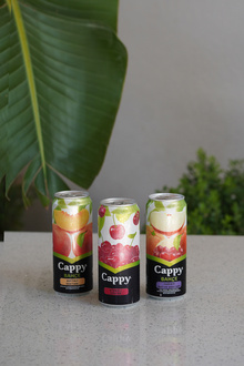 Cappy Meyve Suyu görseli