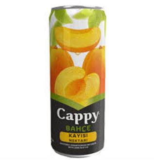 Cappy Kayısı (33 Cl.) görseli