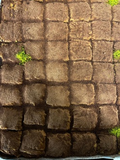Soğuk Baklava görseli
