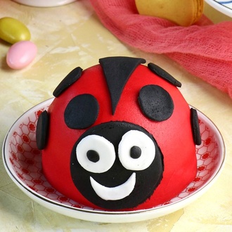 Joy Pasta Uğur Böcekli görseli