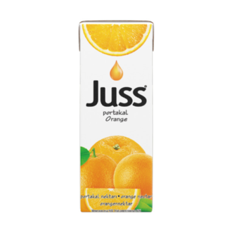 Portakal Meyveli İçecek (200 Ml) görseli