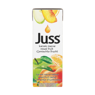 Karışık Meyve Nektarı (200 Ml) görseli