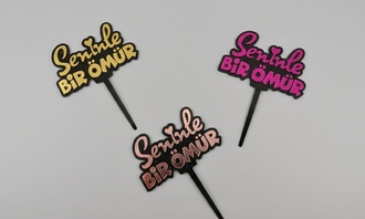 Seninle Bir Ömür Pleksi görseli