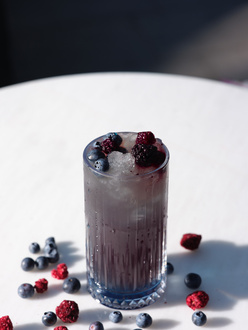 Wild Blueberry görseli