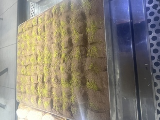 Fısıklı Soguk Baklava görseli